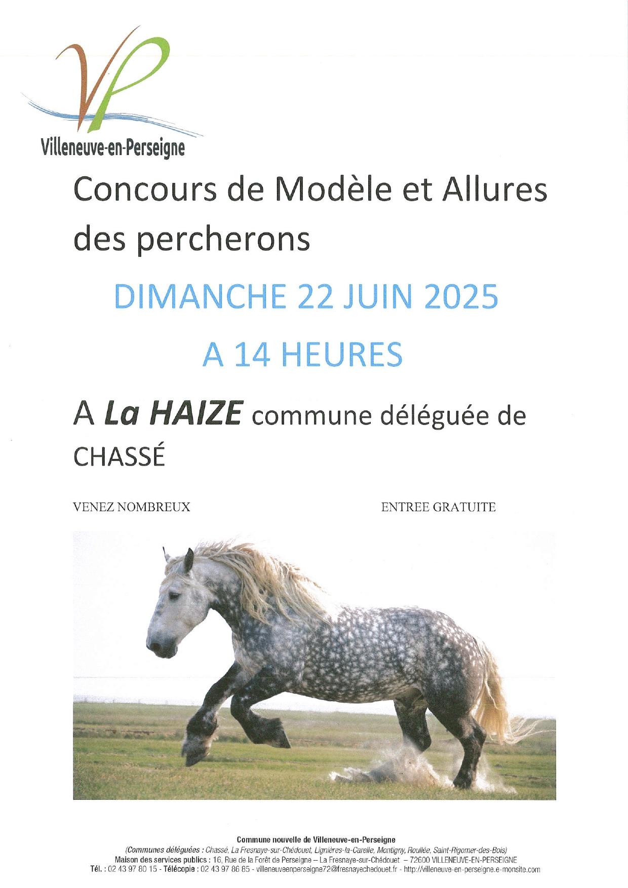 Concours de modele et allures