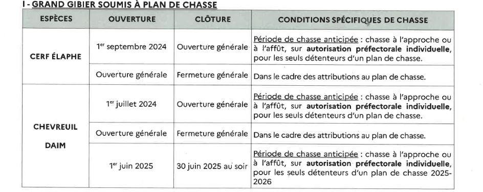 Grand gibier