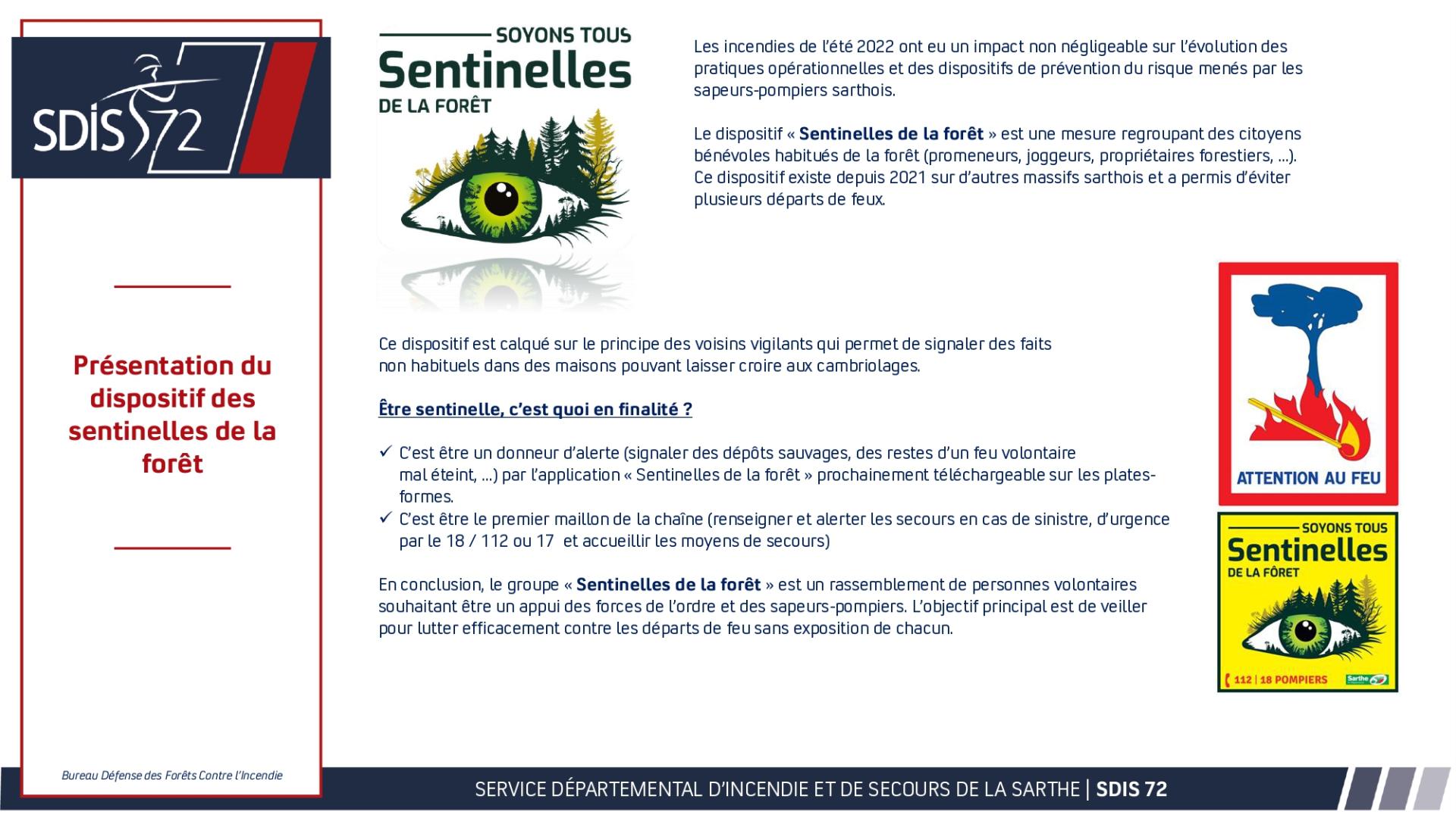 Synthese missions sentinelles page 0001